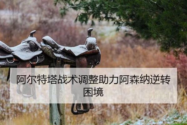 a-er-te-ta-zhan-shu-tiao-zheng-zhu-li-a-sen-na-ni-zhuan-kun-jing-1-568.jpg