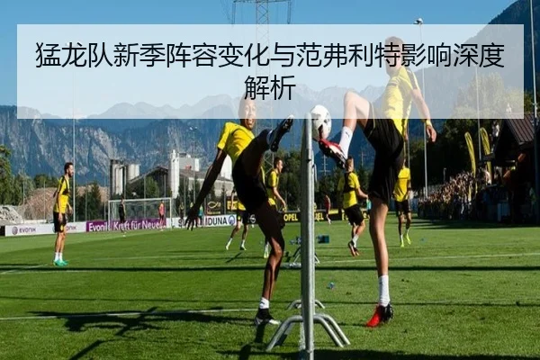 猛龙队新季阵容变化与范弗利特影响深度解析